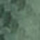 Texture Forest Green