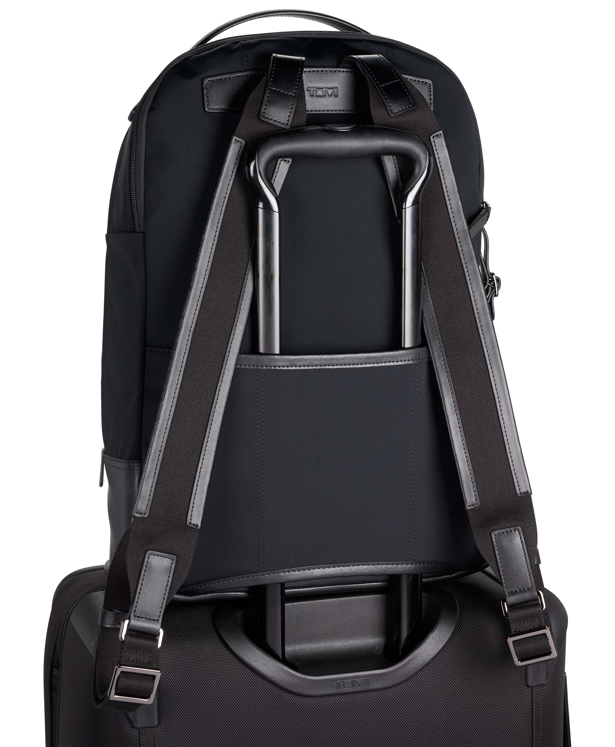 webster backpack leather